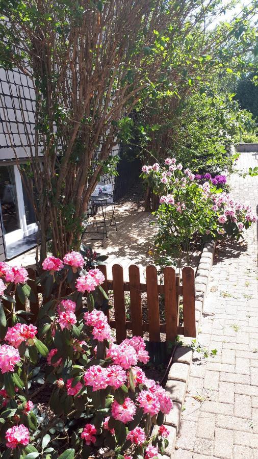 Ferienwohnung 43Qm Torf 10 Naehe Moehnesee วาร์ชไตน์ ภายนอก รูปภาพ